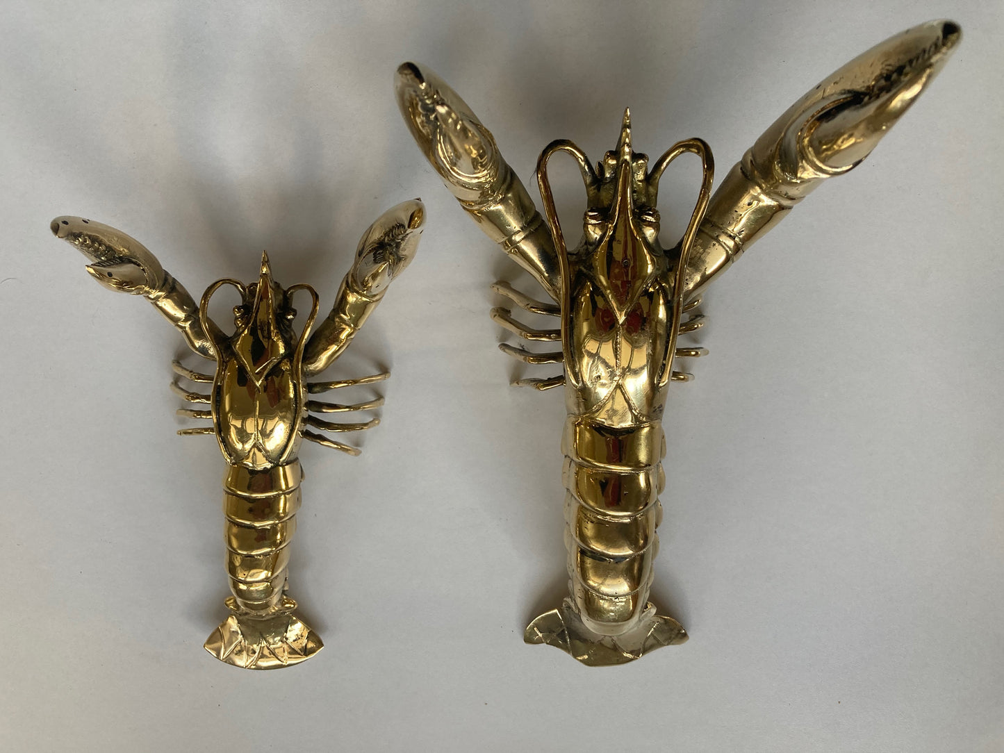 product image hero 3 - Big Claw Crayfish | Lobster (23cm)