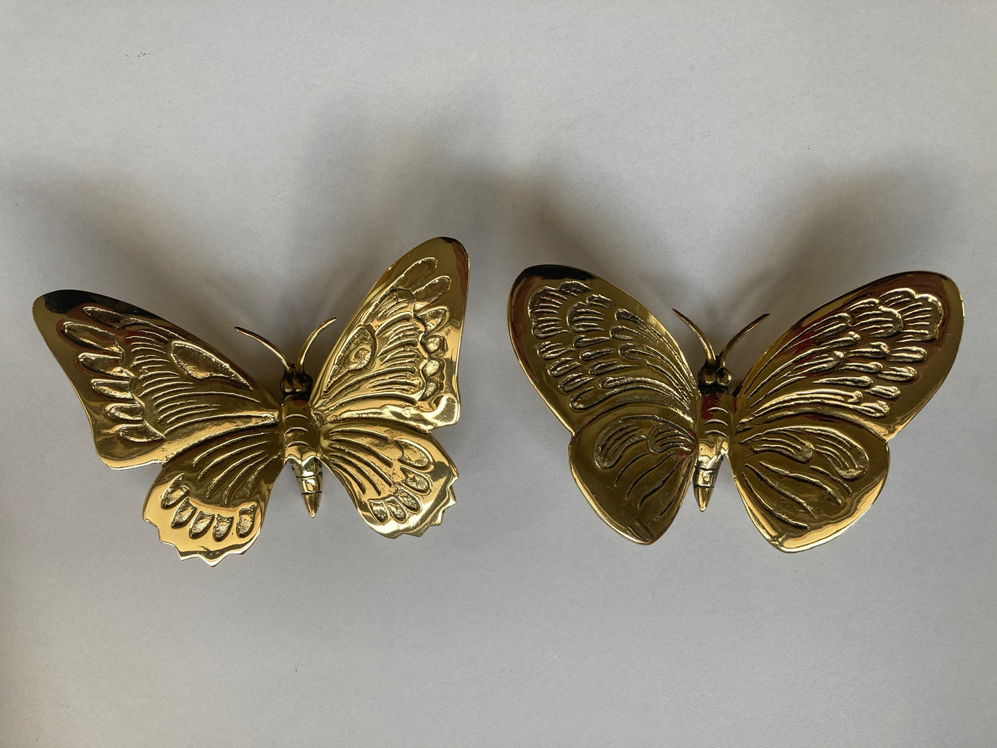 Butterfly Rounded Wings 13cm