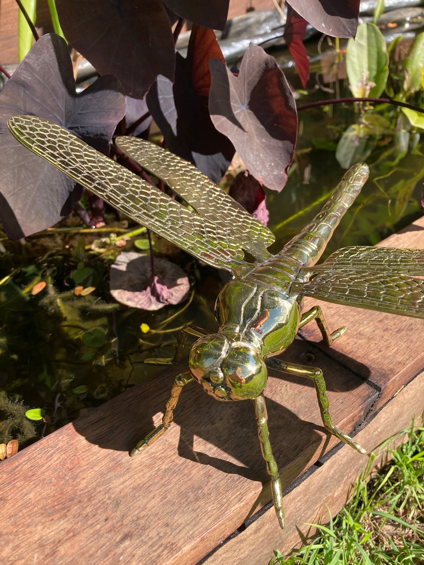 Dragonfly (31cm)