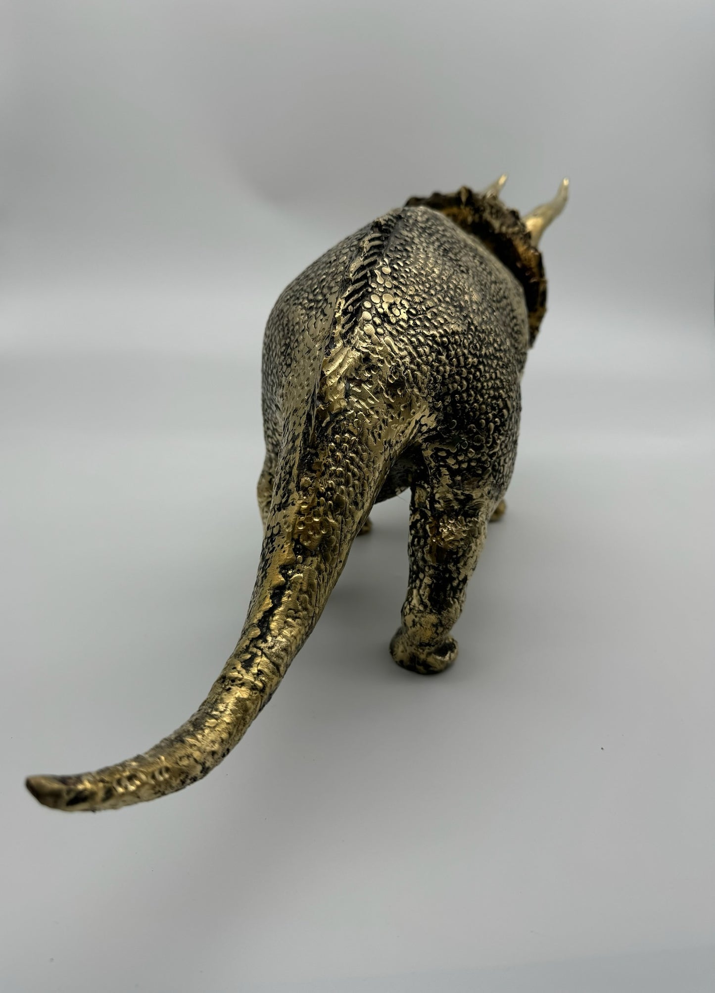 Triceratops, 56cm