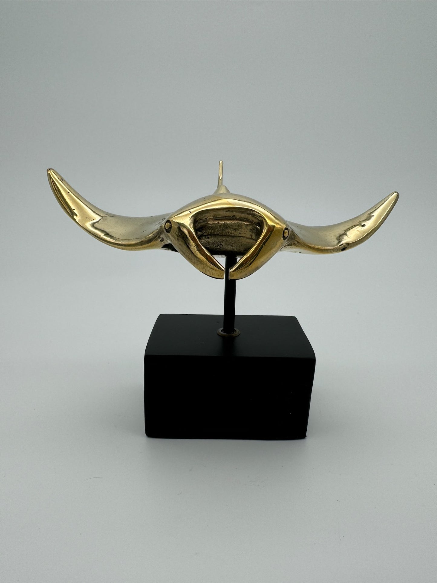 Manta Ray (11cm)