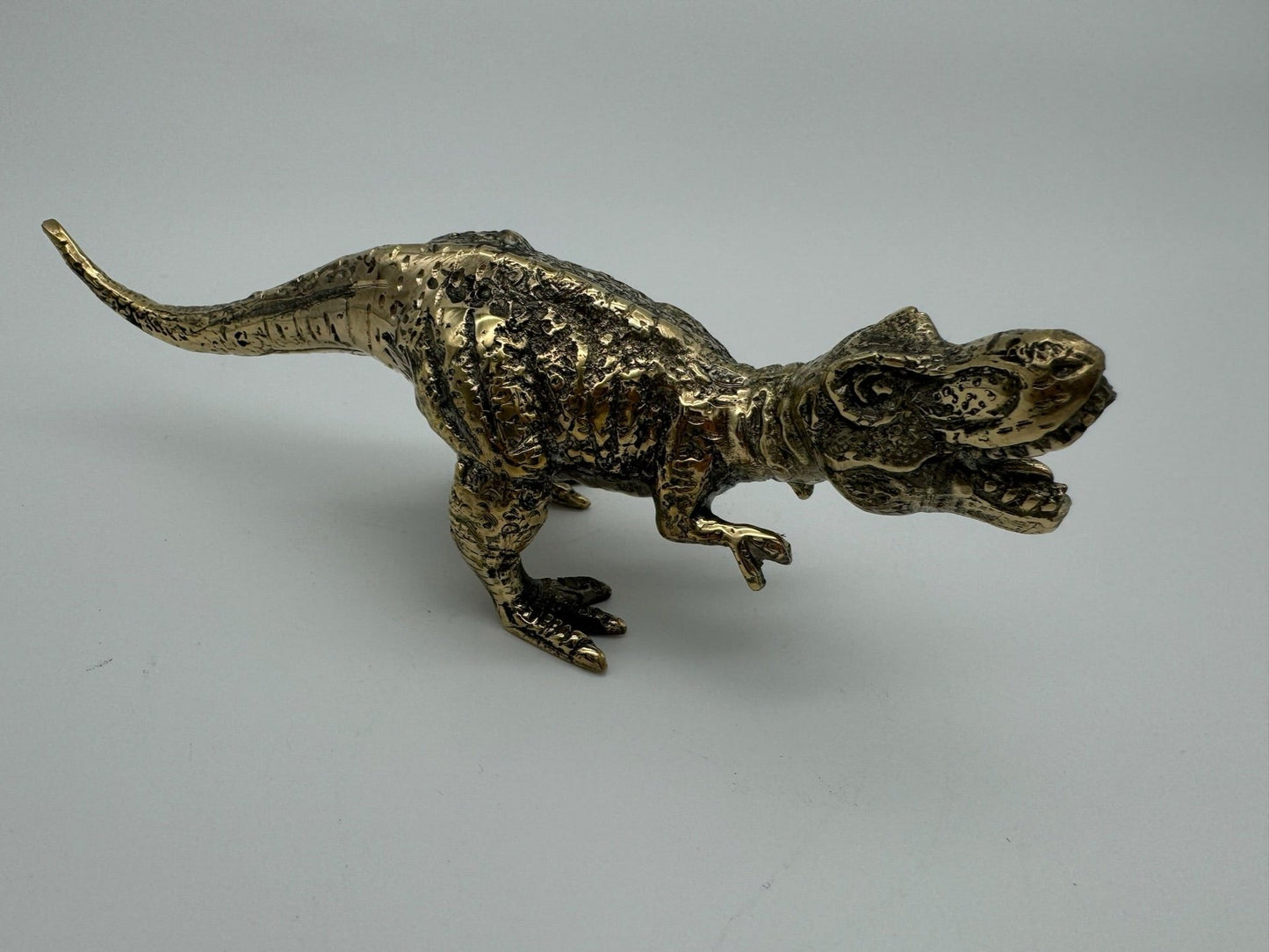 Tyrannosaurus Rex, 20cm