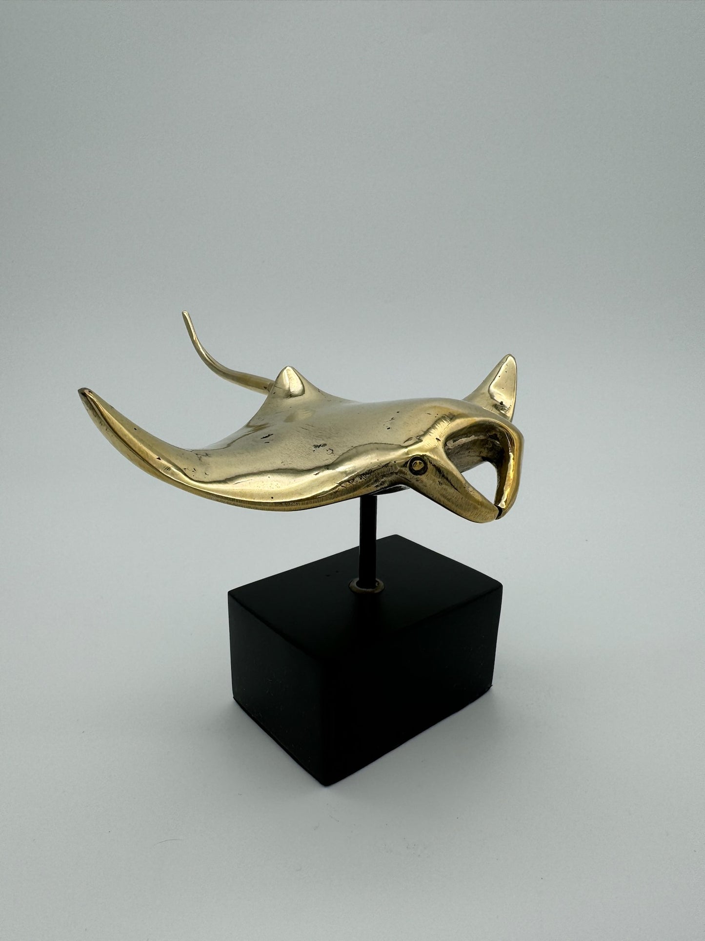 Manta Ray (11cm)