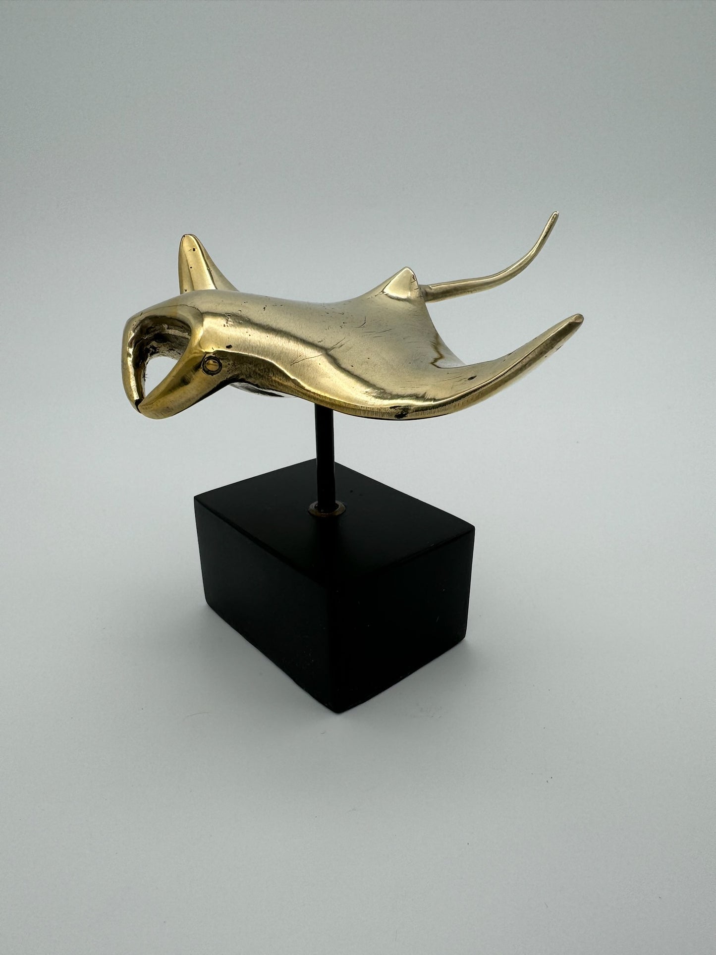 Manta Ray (11cm)