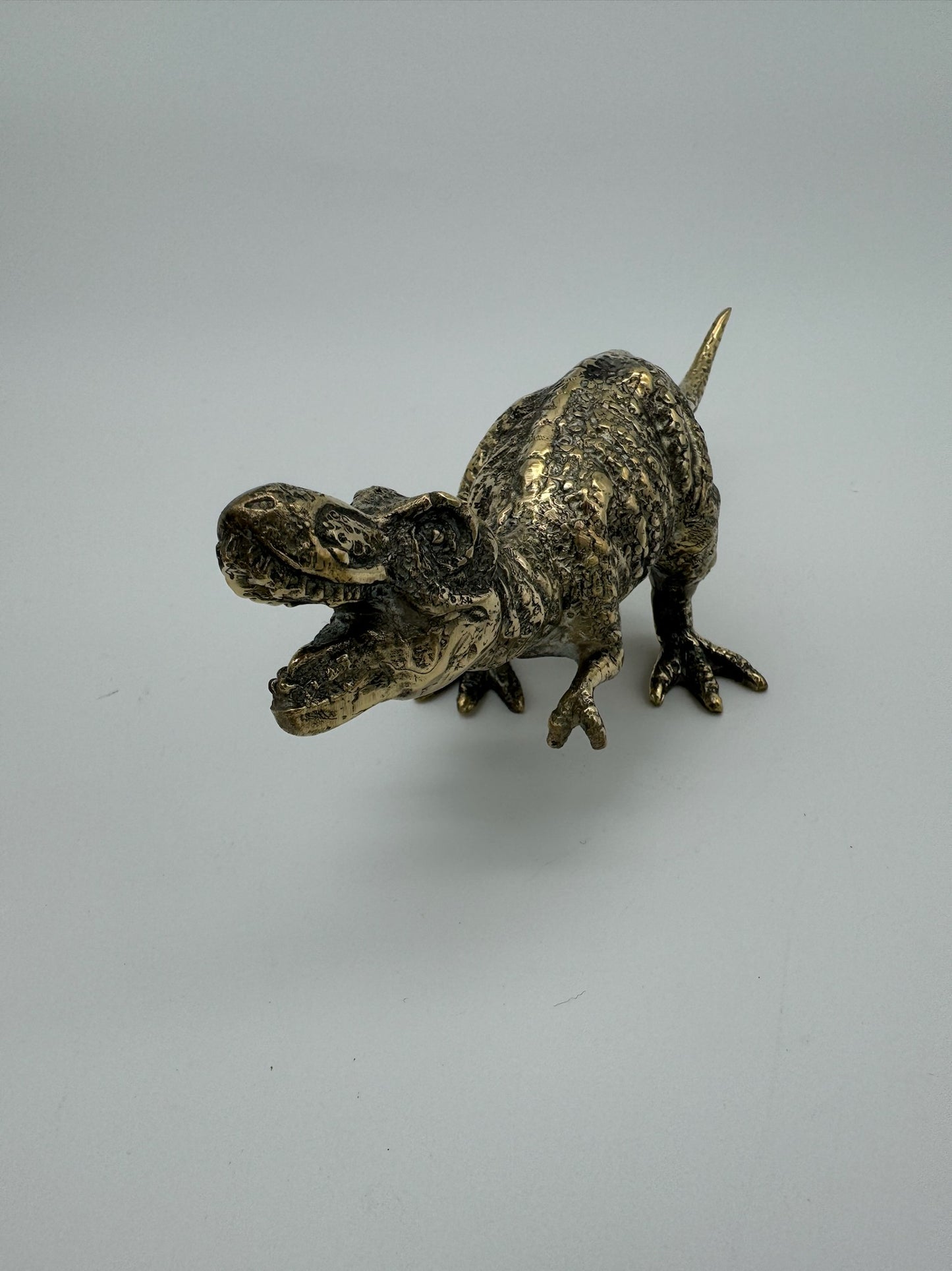 Tyrannosaurus Rex, 20cm