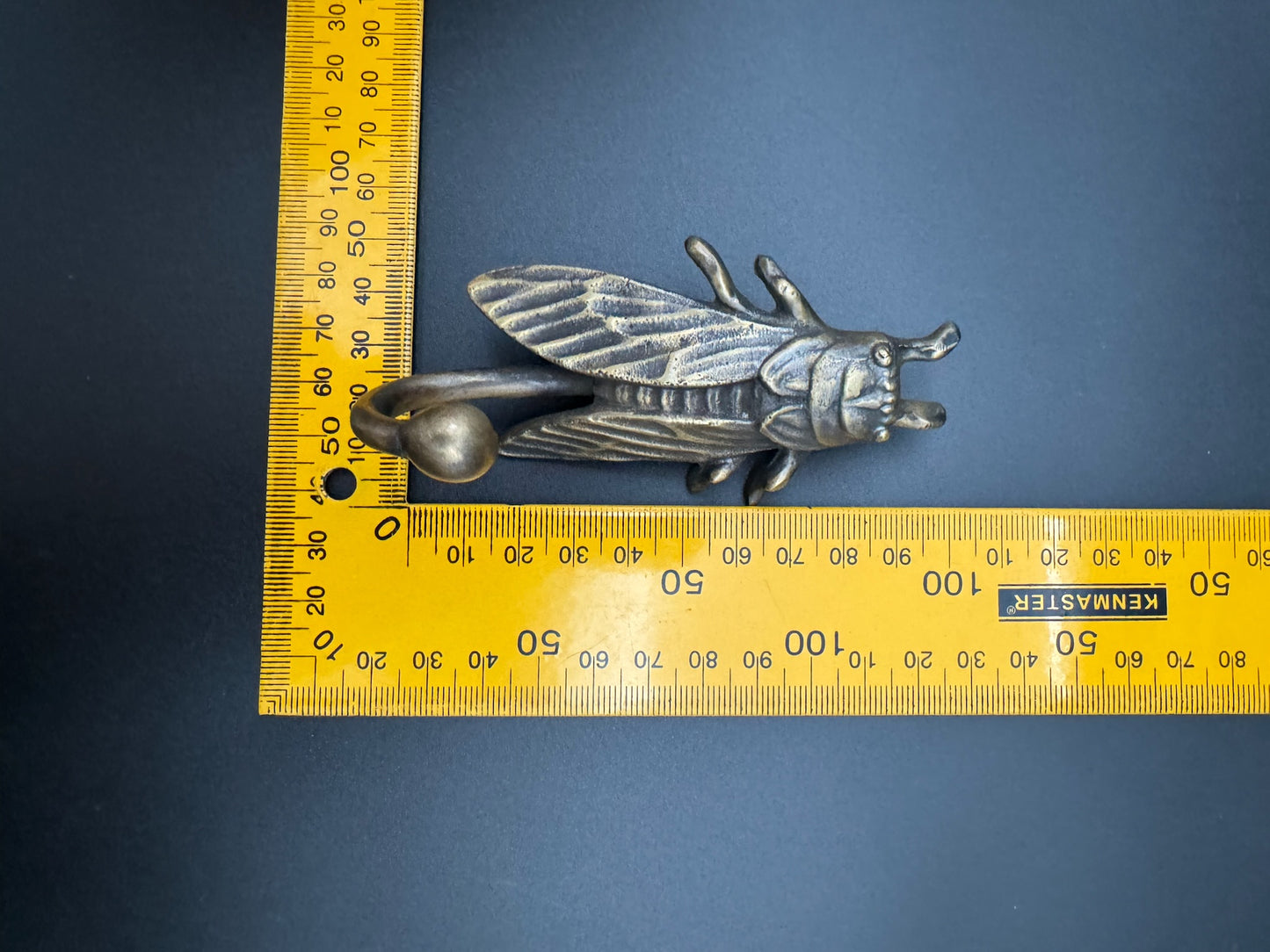 Cicada Clothes Hook (10cm)