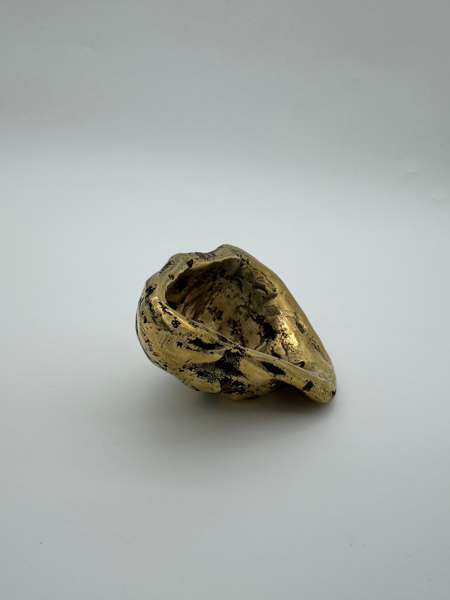 Oyster, 9.5cm