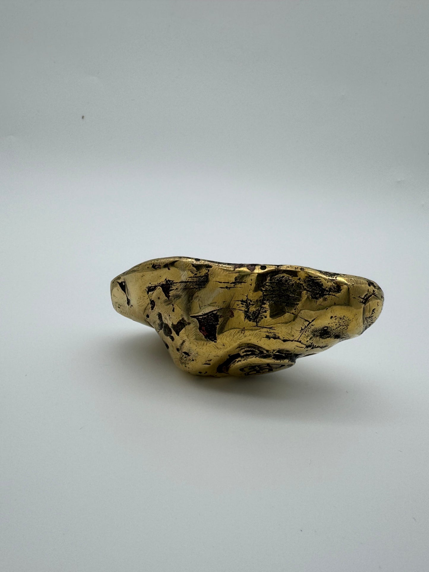 Oyster, 9.5cm