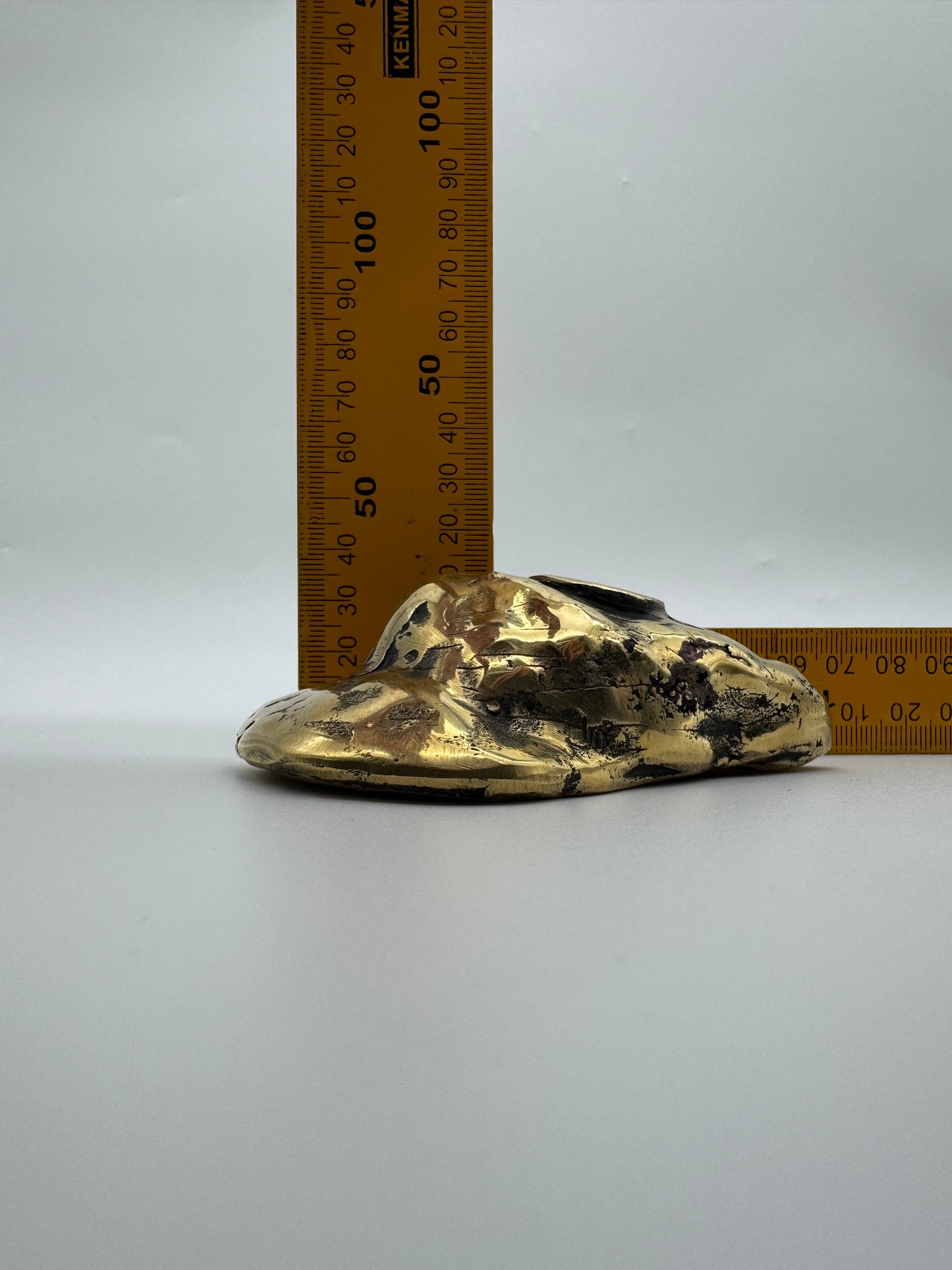 Oyster, 9.5cm