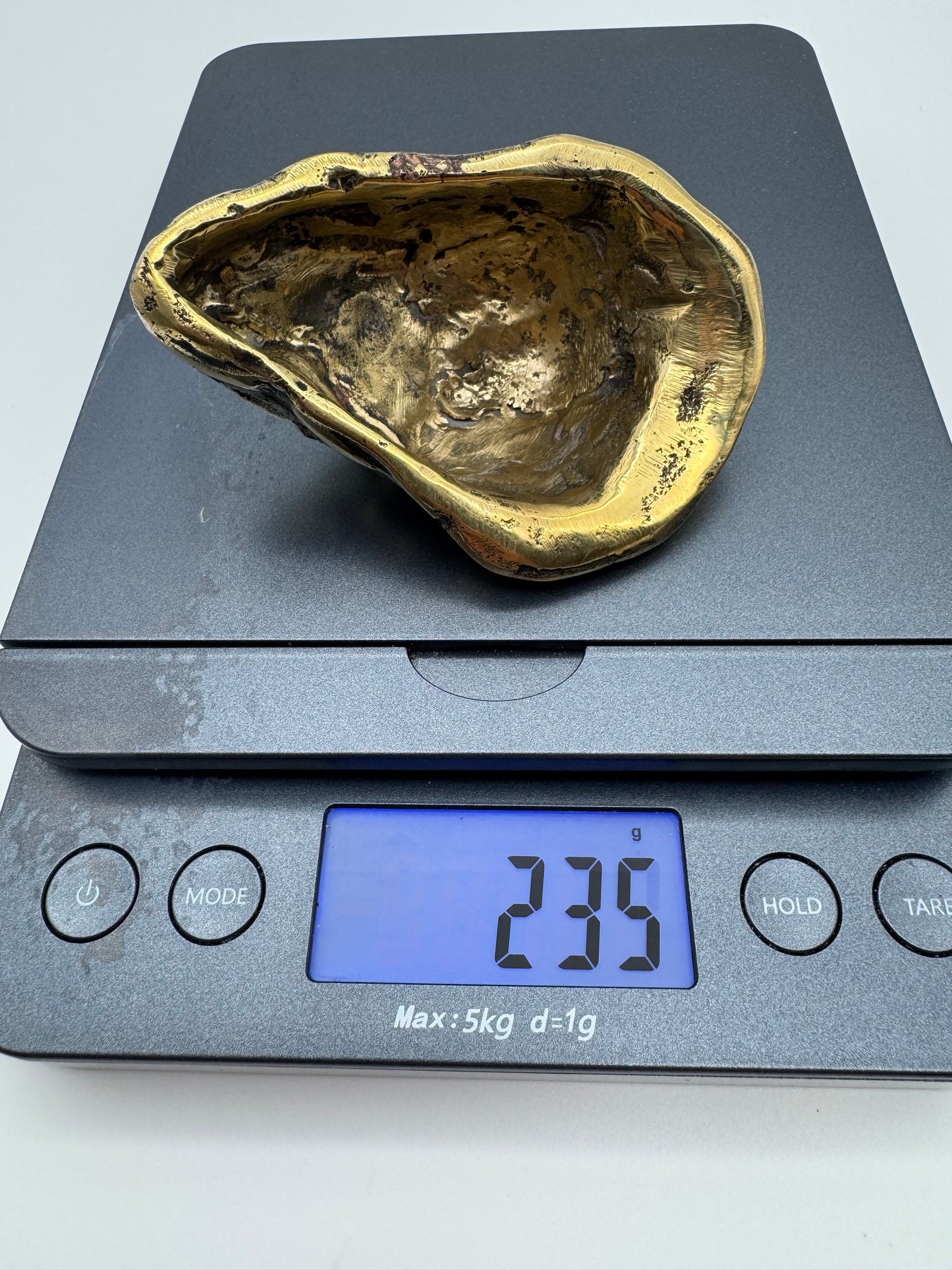 Oyster, 9.5cm