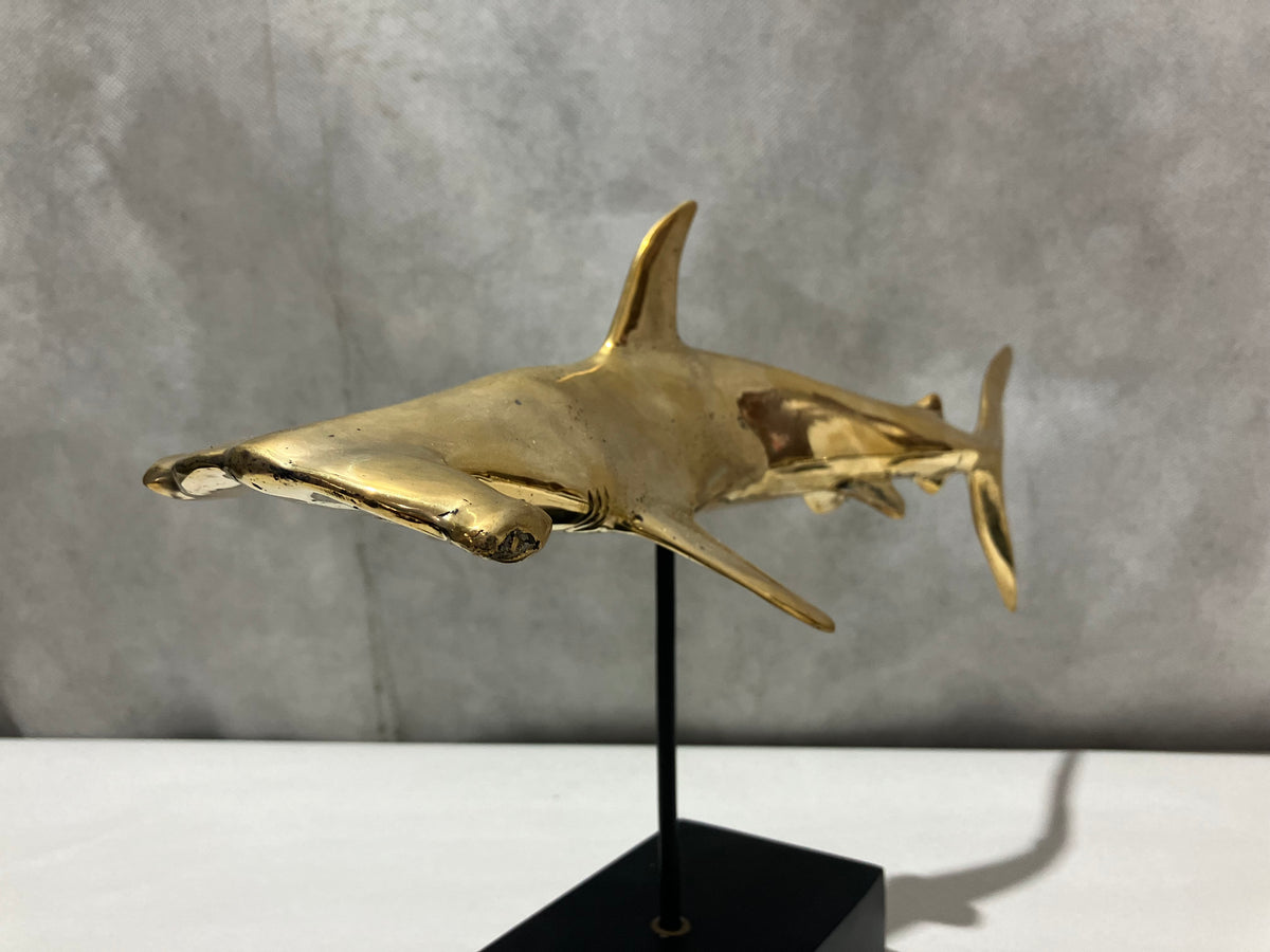 Hammer Head Shark, Bronze Handmade, 30cm