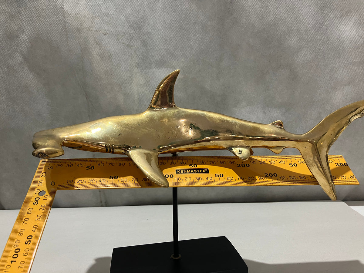 Hammer Head Shark, Bronze Handmade, 30cm