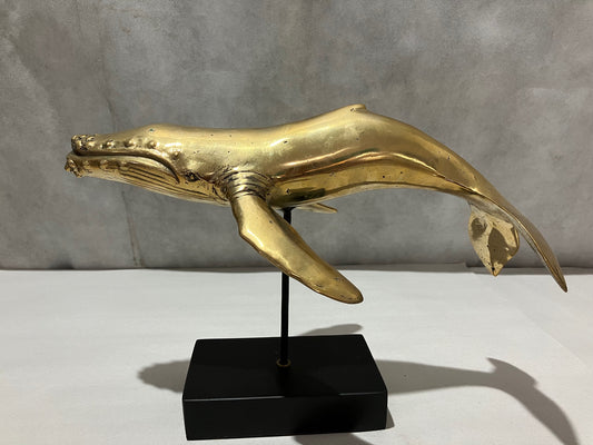 Humpback Whale 30cm