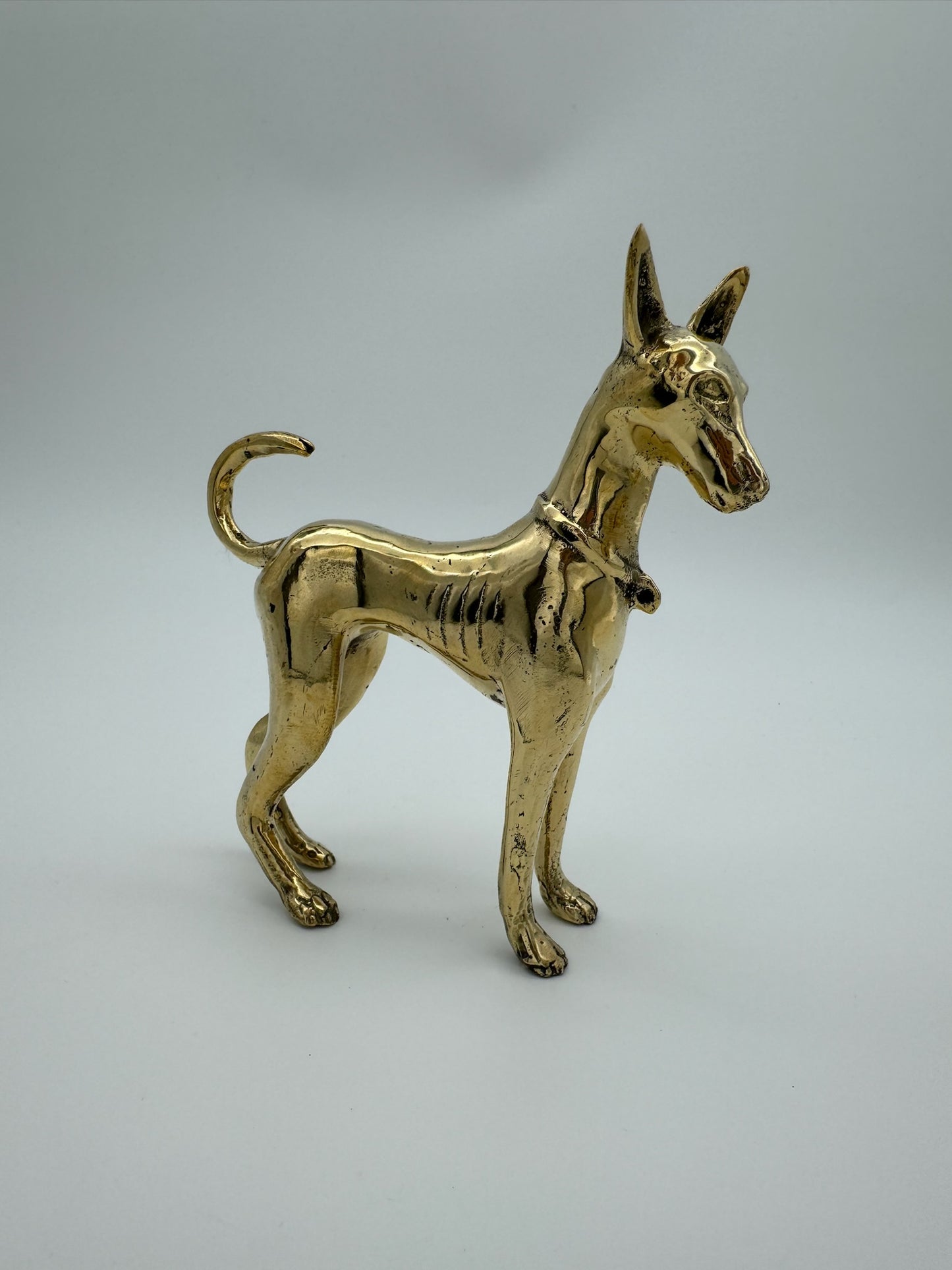 Pharaoh Hound Dog, Bronze Handmade, 17cm