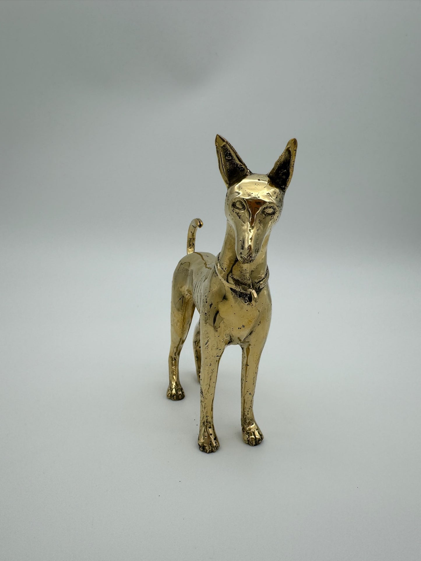 Pharaoh Hound Dog, Bronze Handmade, 17cm