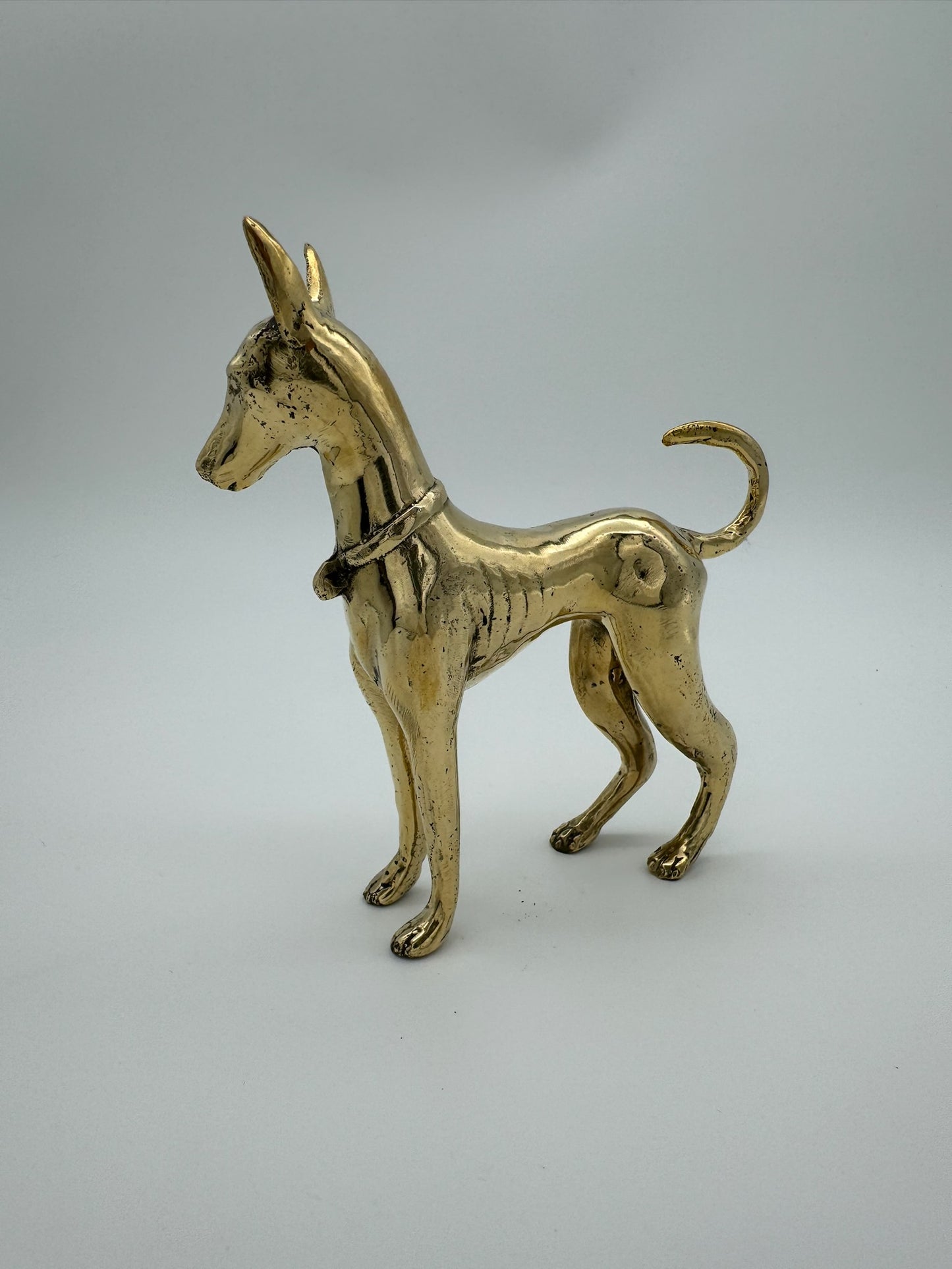 Pharaoh Hound Dog, Bronze Handmade, 17cm