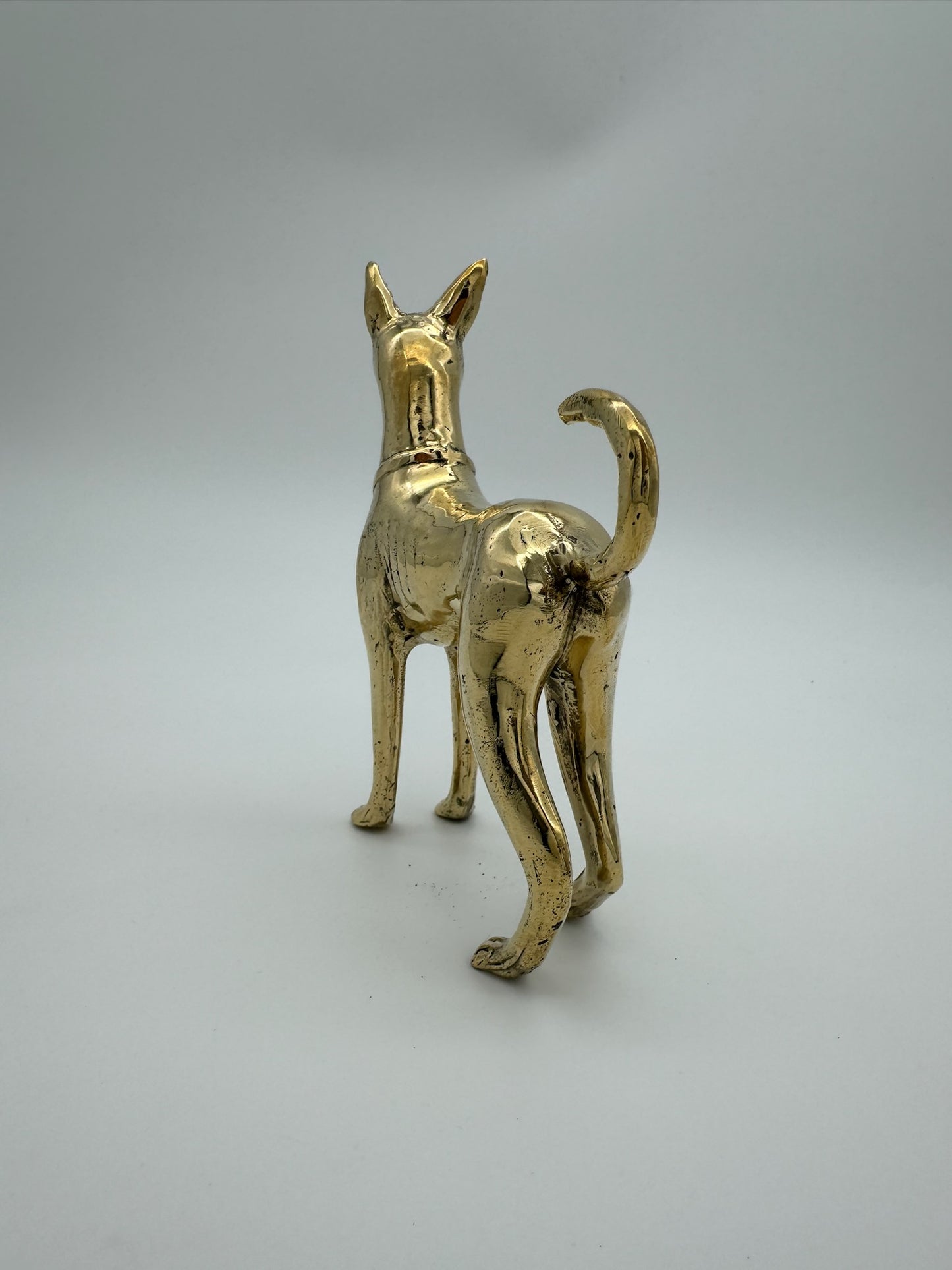 Pharaoh Hound Dog, Bronze Handmade, 17cm