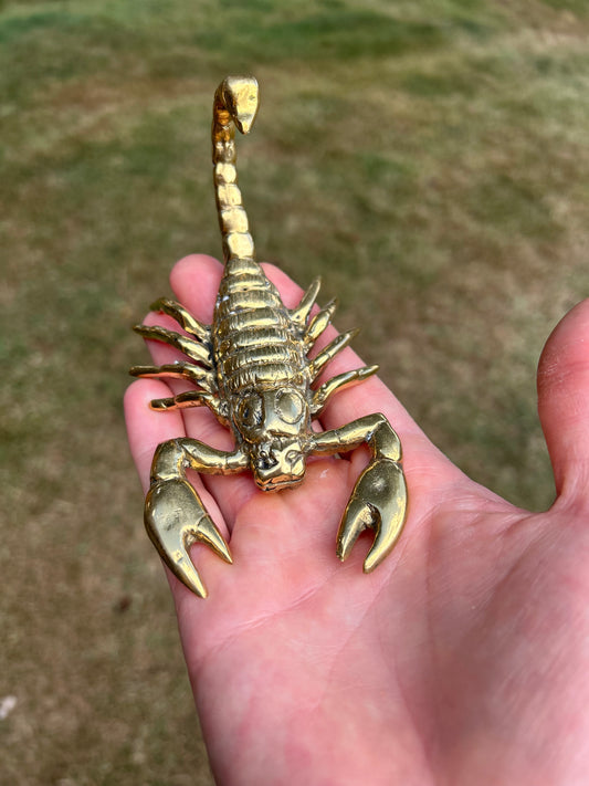 Scorpion 14cm