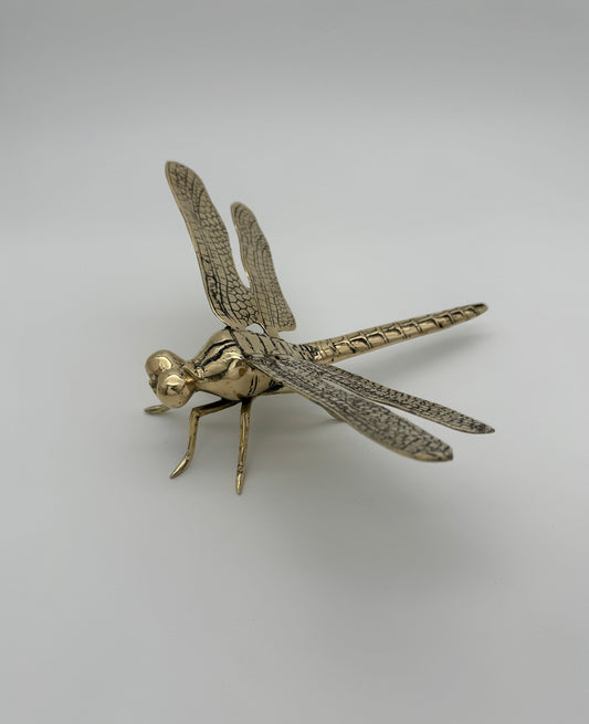 Dragonfly 23cm