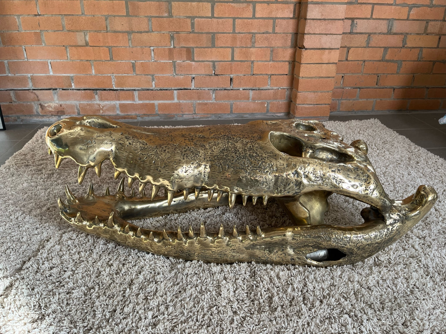 Crocodile Skull (100cm)