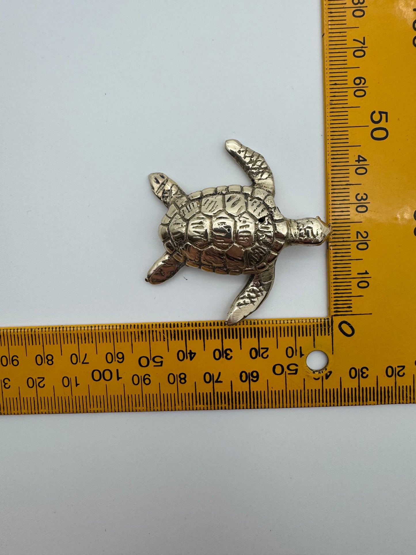 Loggerhead Turtle 5cm