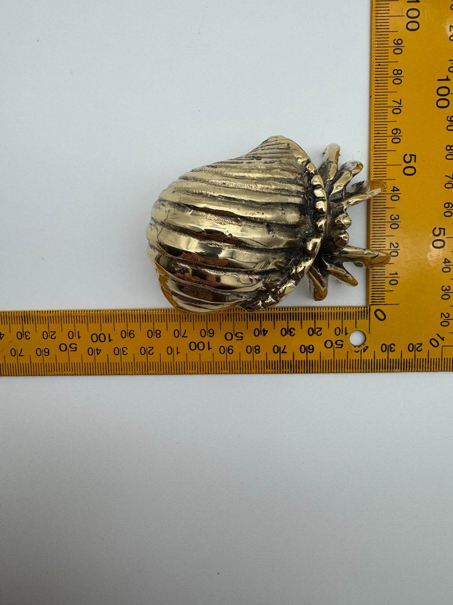 Hermit Crab, 8cm