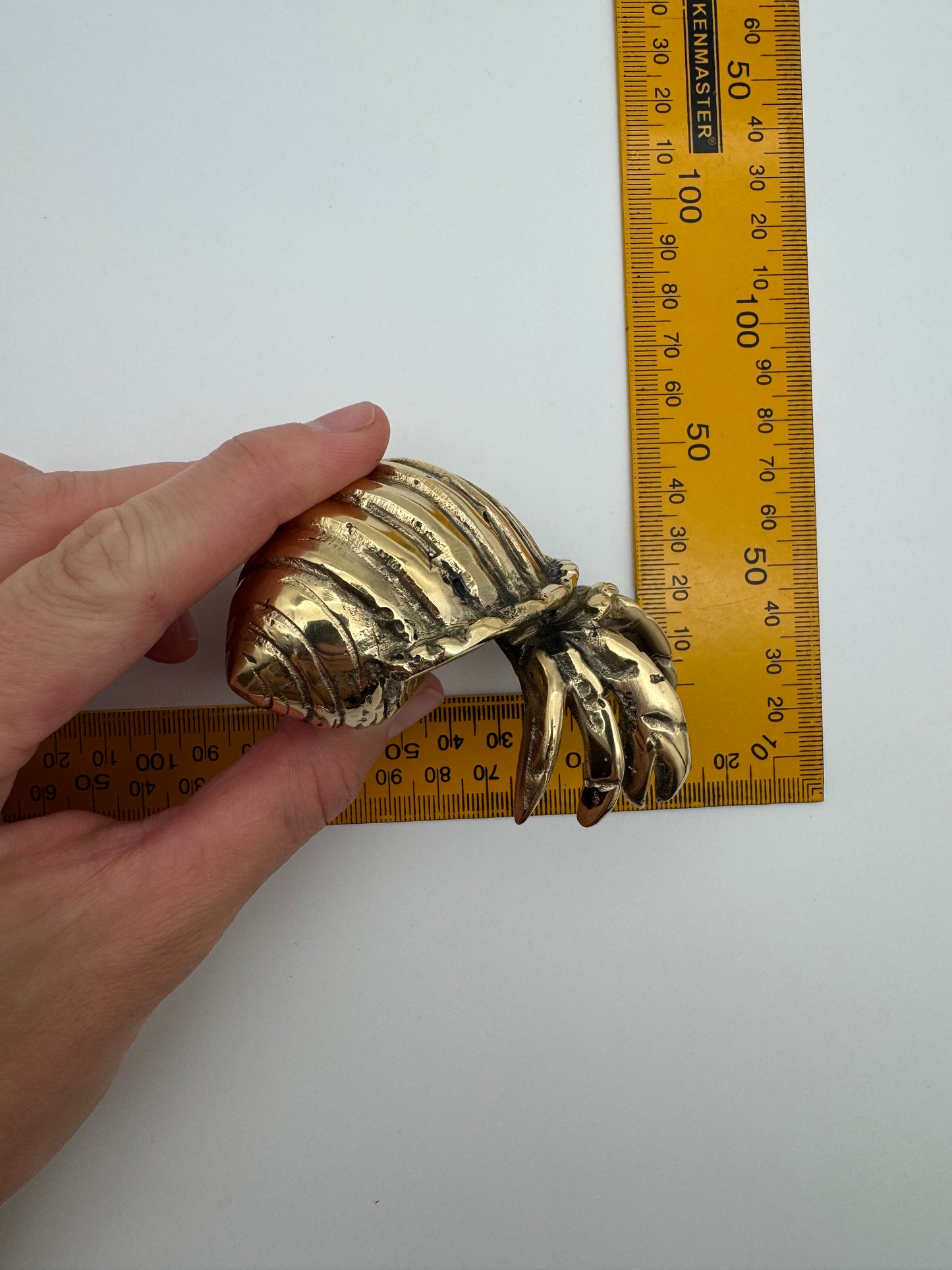 Hermit Crab, 8cm