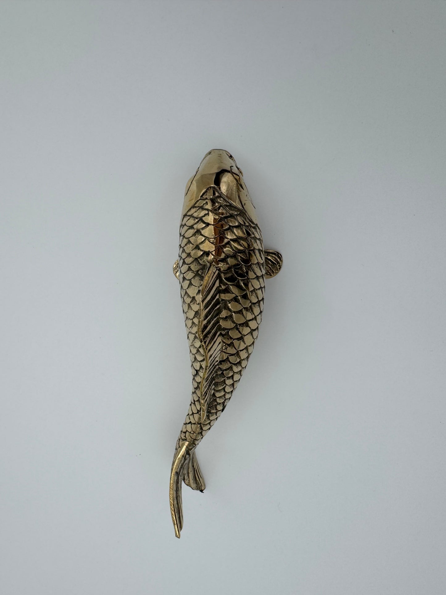 Koi Fish, 20cm