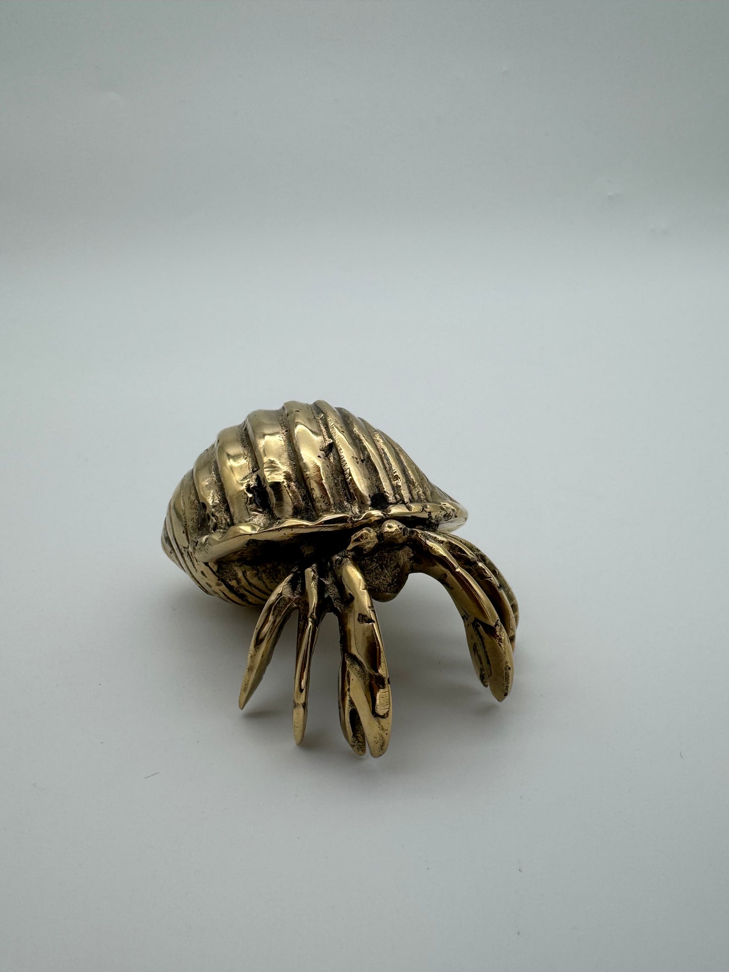 Hermit Crab, 8cm