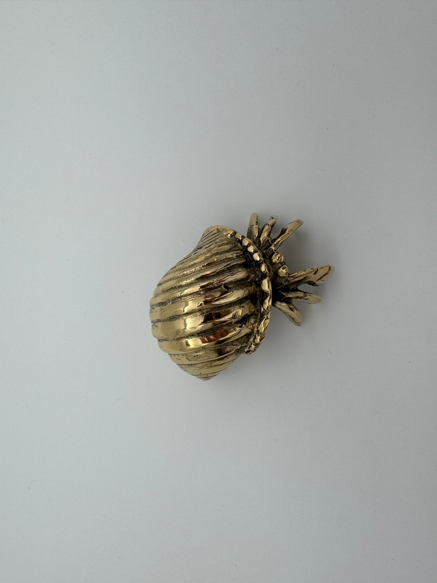 Hermit Crab, 8cm