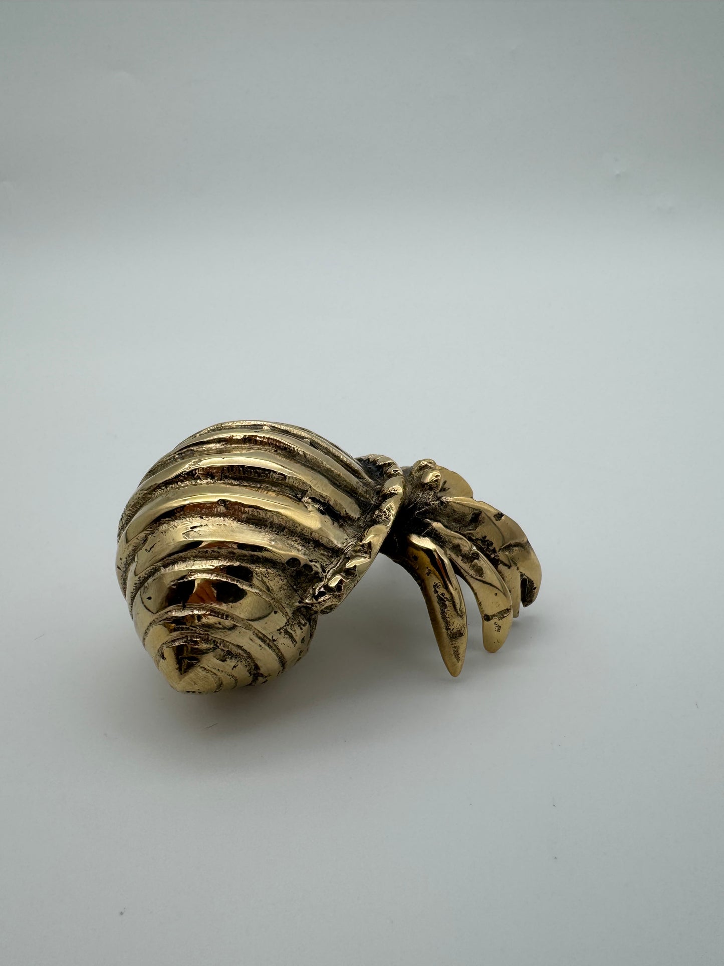 Hermit Crab, 8cm