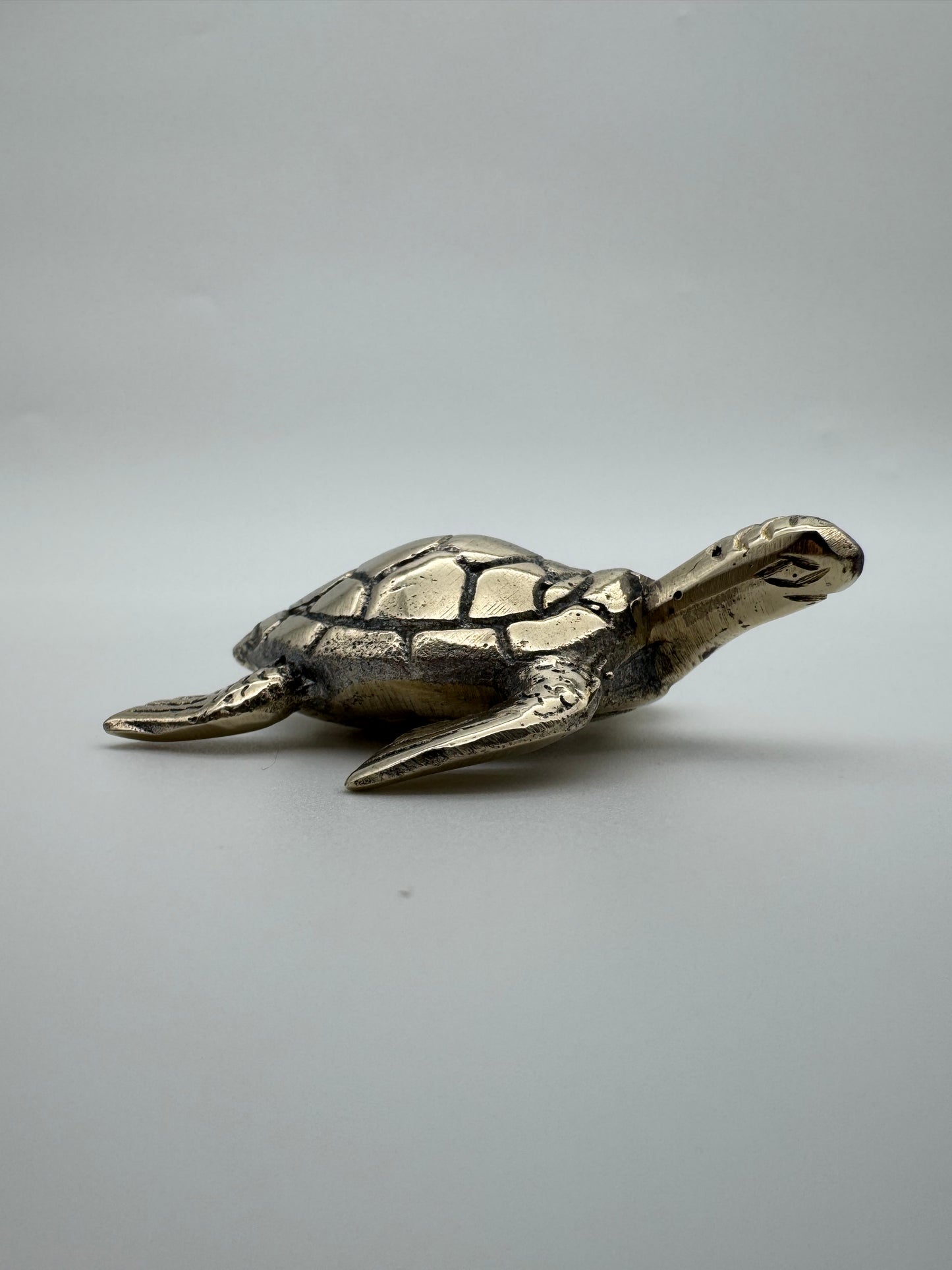 Sea Turtle, 5.5cm