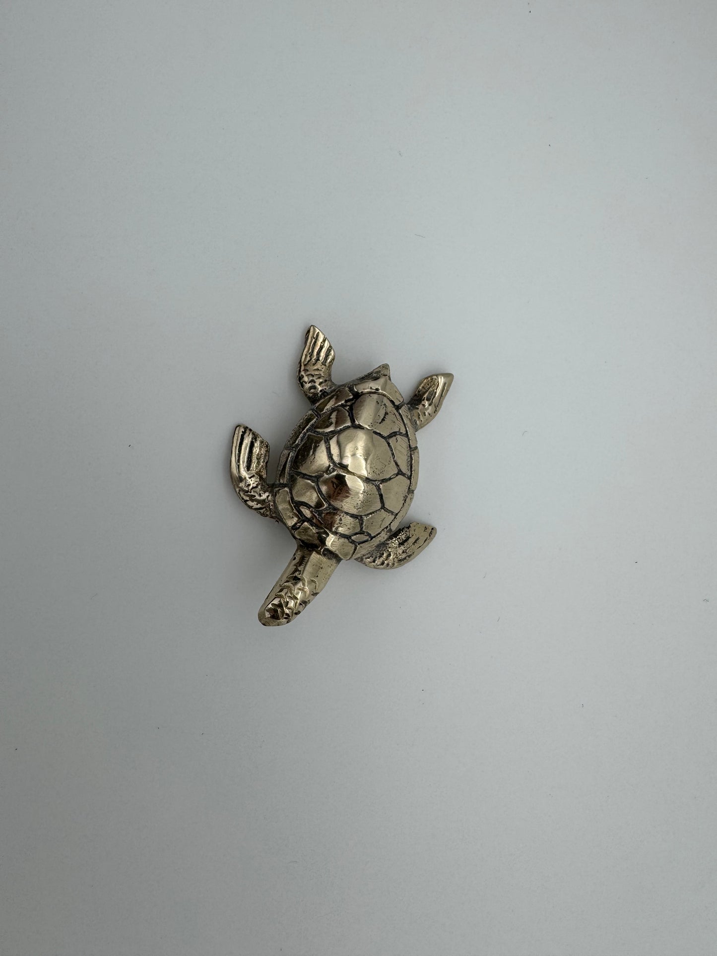 Sea Turtle, 5.5cm