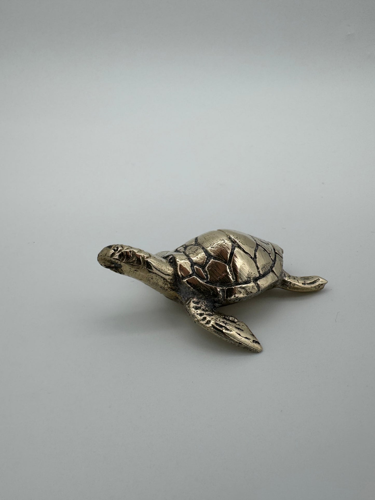 Sea Turtle, 5.5cm