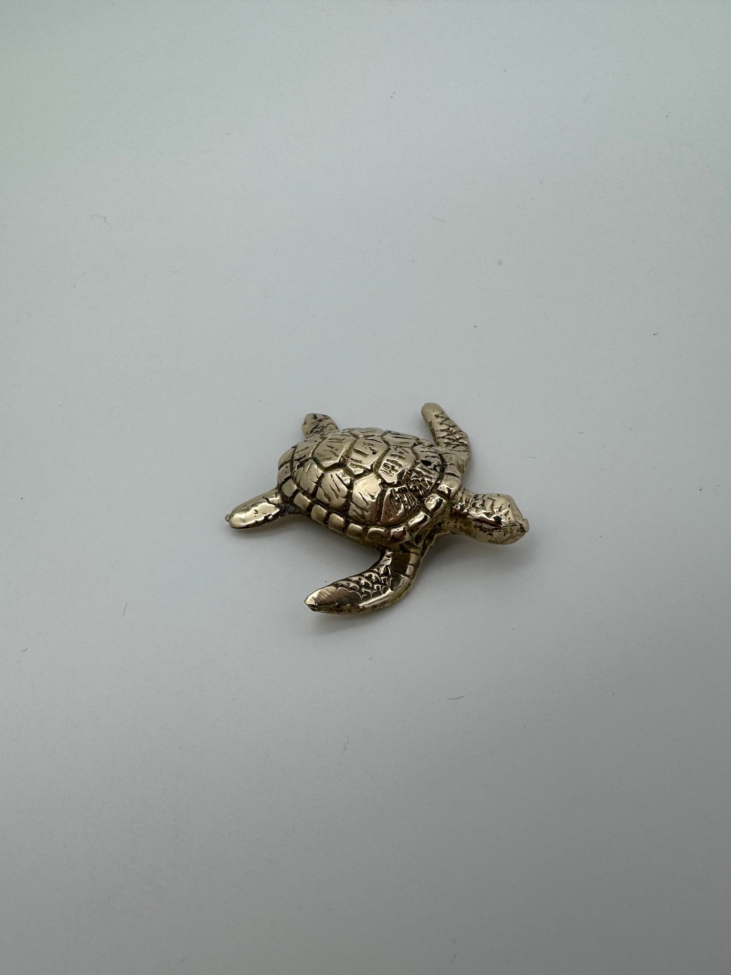 Sea Turtle, 5.5cm