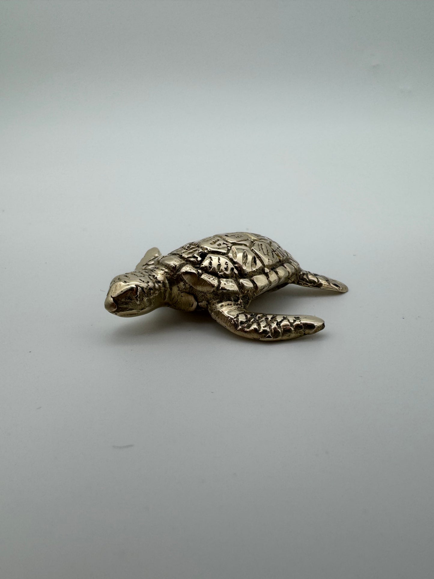 Loggerhead Turtle 5cm