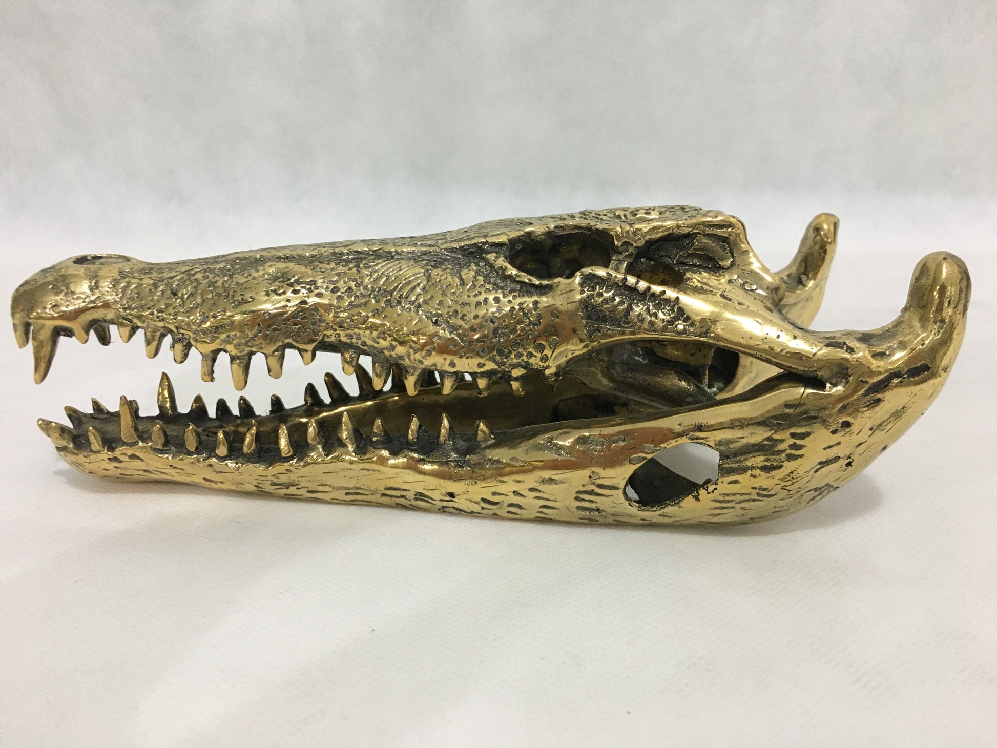 product image hero 4 - Crocodile Skull/Head Statue (36cm) - Handmade in bronze